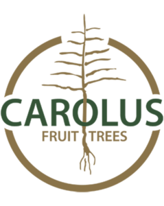 Carolus Trees